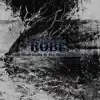 Robe. - Cold Dead Trails in the Mist Covered Soil